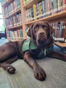 Katja RD library dog