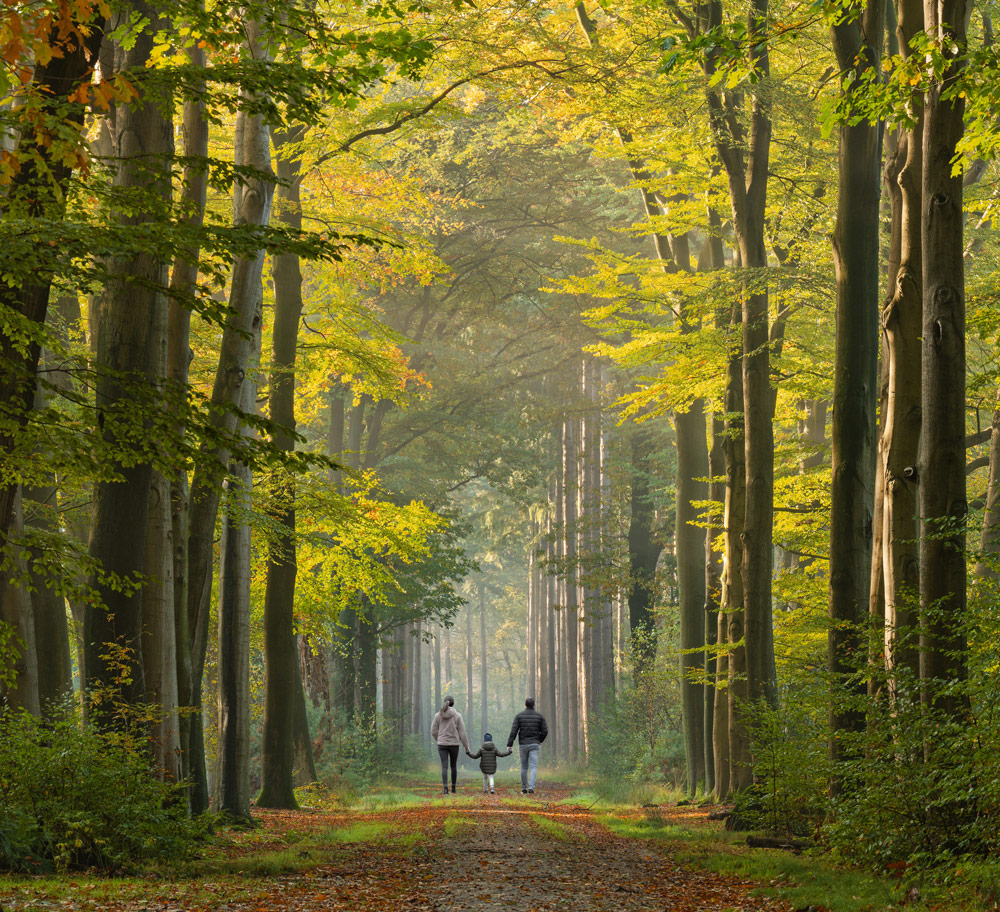 iStock 1356626974